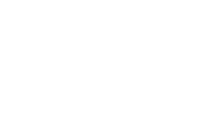 Nexus Studio